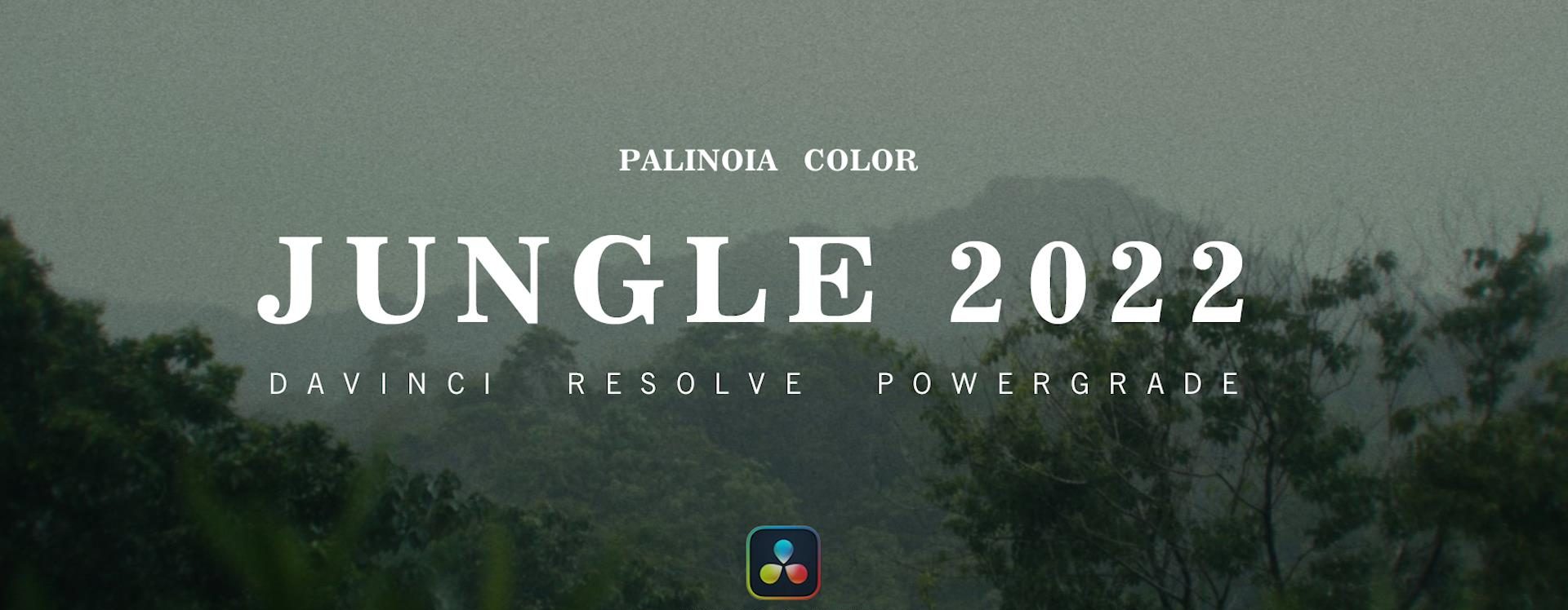 JUNGLE 2022 阴雨天氛围墨绿色复古胶片质感电影颜色分级 达芬奇PowerGrade –