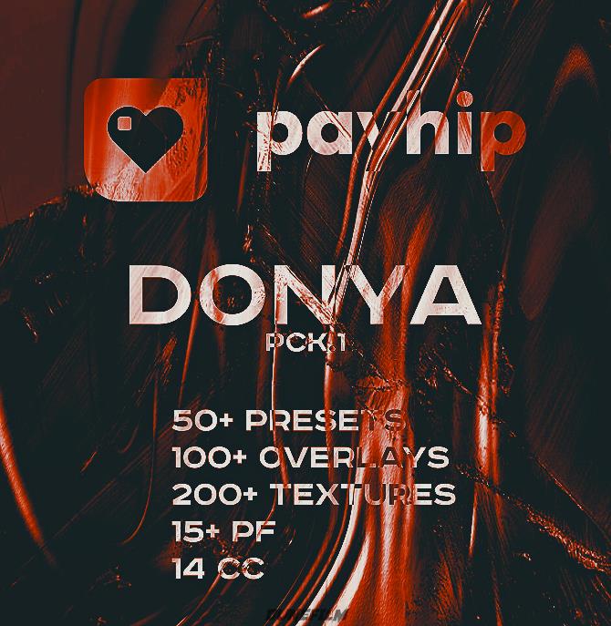 Payhip – DONYA pck.1 Editing Pack AE项目文件、叠加、预设、LUT – DUNEFILM