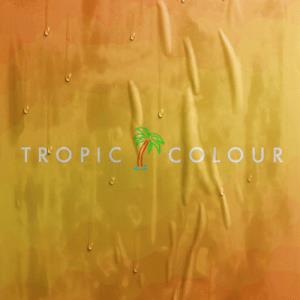 Tropic Colour Poster Pack 35个独特撕裂褶皱纹理PSD海报样机模型 – DUNEFILM