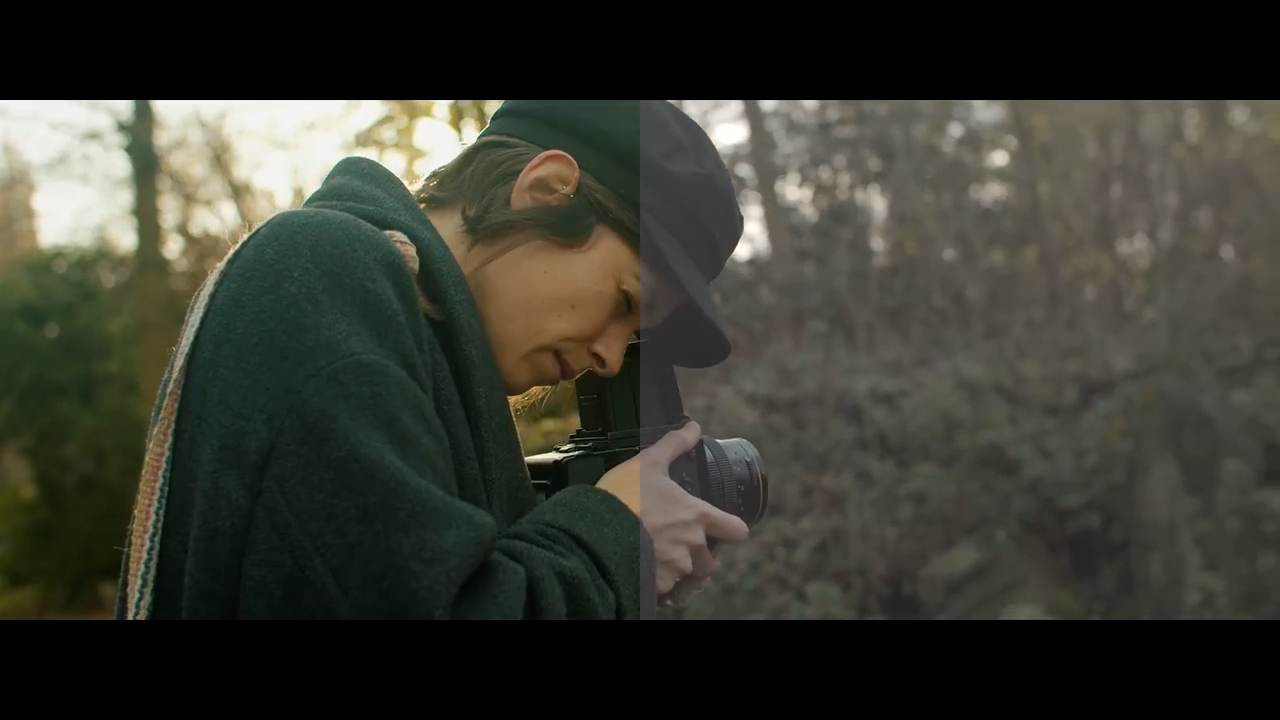 Blackmagic Cinema Log And Standard Luts – DUNEFILM