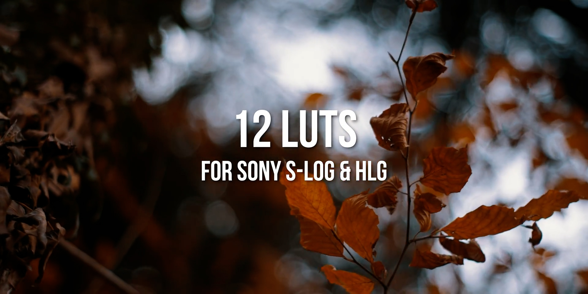 适用于HLG和S-LOG的索尼A7SIII A7III LUT – DUNEFILM