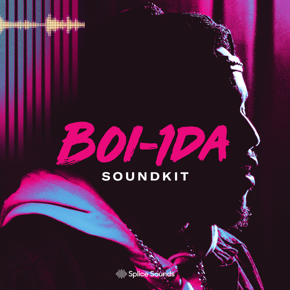 Boi-1da Soundkit: Bare Sounds for Your Headtop 嘻哈• 205个样本 – DUNEFILM