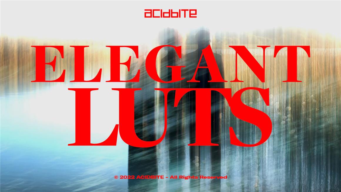 Acidbite 556个高级时尚浪漫唯美柔光婚礼视频风格化LUT调色预设 ELEGANT LUTS（7665）沙丘影像中心