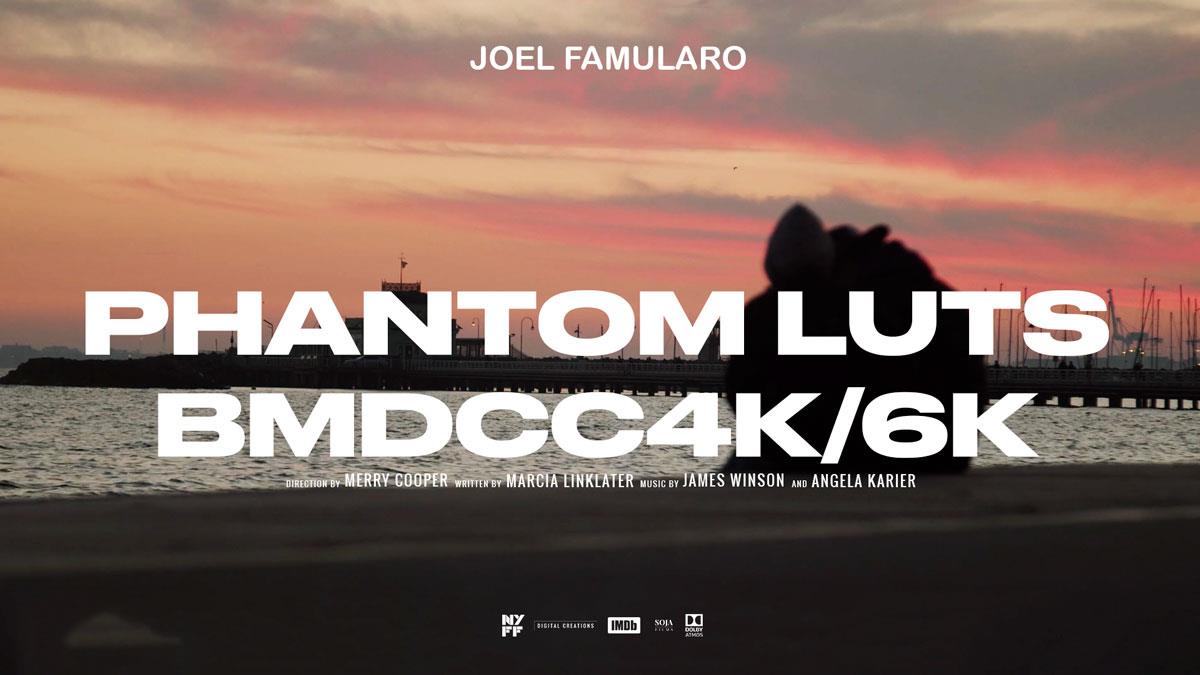 Phantom LUTs – BMPCC4K/6K 真实胶片电影色彩模拟调色预设 Joel Famularo Phantom LUTs for BMDCC4K/6K（7450） – DUNEFILM