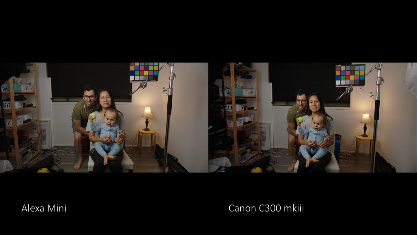 Phantom LUTs - Canon LUTs 佳能C-Log2、C-Log3转阿莱胶片色彩商业LUT调色预设包 Joel Famularo Phantom LUTs for Canon Cinema Cameras（7176）沙丘影像中心2